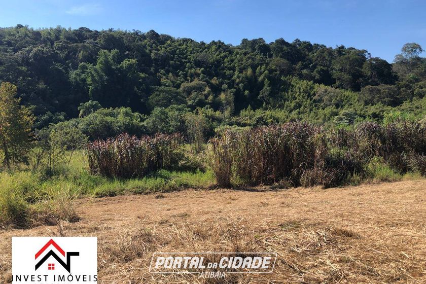 Terreno &agrave; venda - 4801m&sup2; - Ribeir&atilde;o dos Porcos