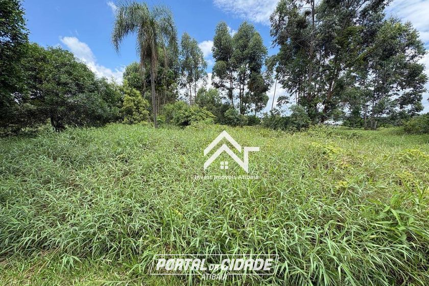 Terreno &agrave; venda - 1000m&sup2; - Ponte Alta