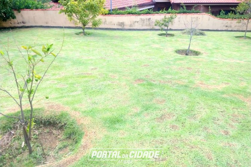 Terreno &agrave; venda - 2650m&sup2; - LARANJAL