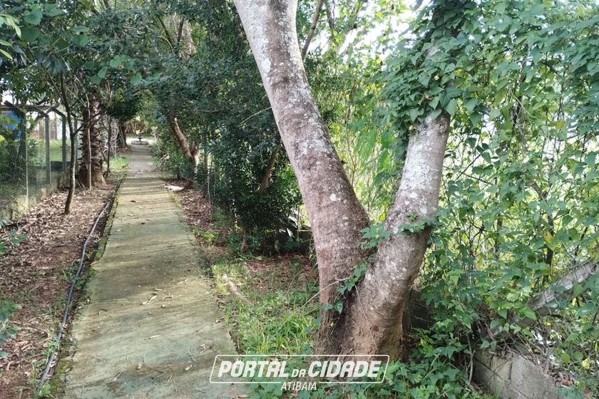 Terreno &agrave; venda - 769m&sup2; - LOTEAMENTO VALE DAS FLORES