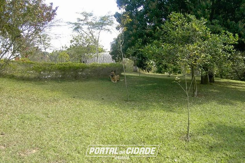 Ch&aacute;cara &agrave; venda - CH&Aacute;CARAS FERN&Atilde;O DIAS