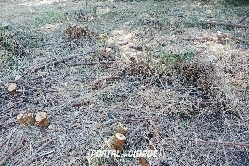 Terreno &agrave; venda - 769m&sup2; - LOTEAMENTO VALE DAS FLORES