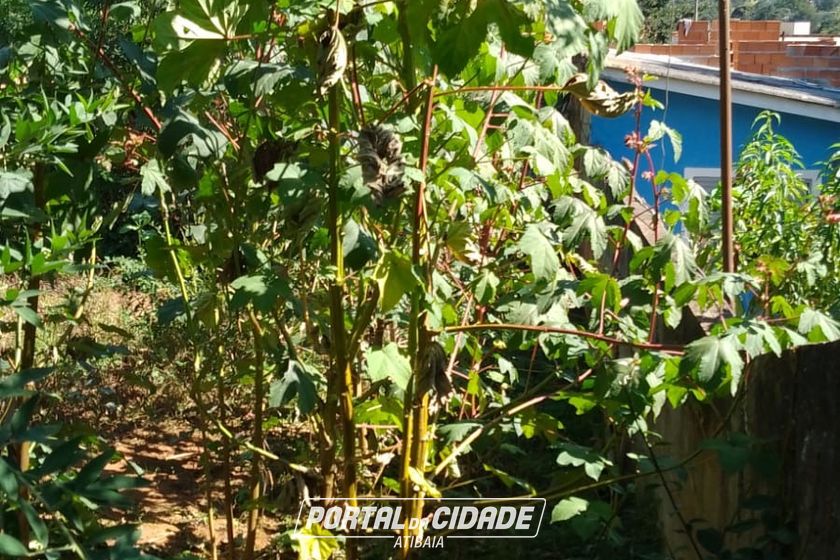 Terreno &agrave; venda - 283m&sup2; - JARDIM DO TREVO