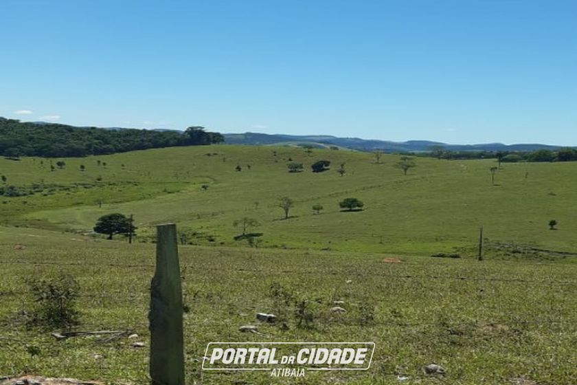 Terreno &agrave; venda - 1250m&sup2; - JARDIM DOS PINHEIROS