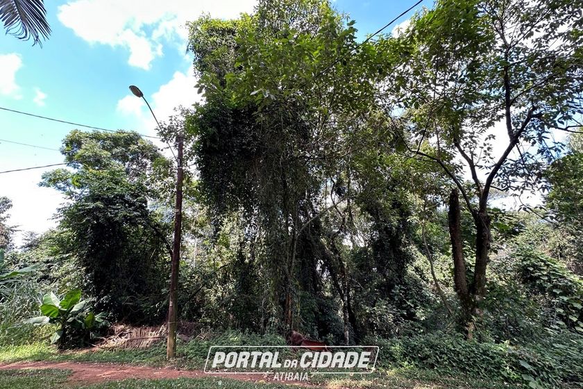Terreno &agrave; venda - 3119m&sup2; - LOTEAMENTO RANCHO MARING&Aacute; II