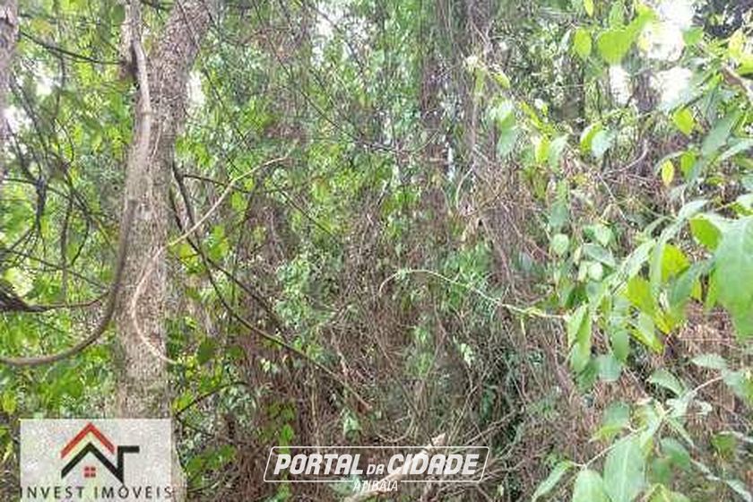 Terreno &agrave; venda - 16382m&sup2; - Est&acirc;ncia Santa Maria do Port&atilde;o