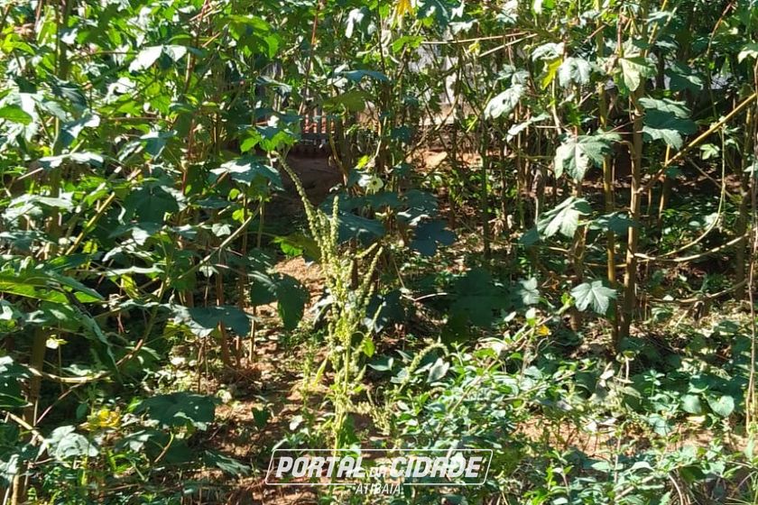 Terreno &agrave; venda - 283m&sup2; - JARDIM DO TREVO