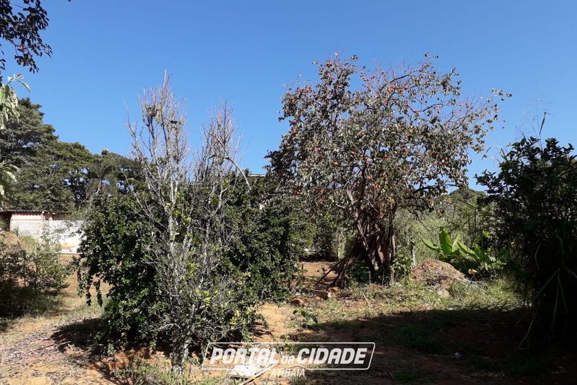 Sobrado &agrave; venda - JARDIM MARACAN&Atilde;