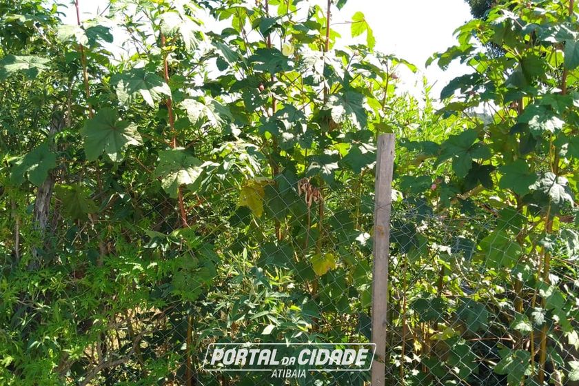 Terreno &agrave; venda - 283m&sup2; - JARDIM DO TREVO