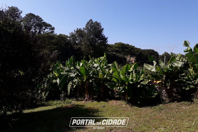 Sobrado &agrave; venda - JARDIM MARACAN&Atilde;