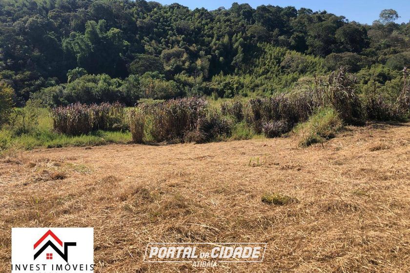 Terreno &agrave; venda - 4801m&sup2; - Ribeir&atilde;o dos Porcos