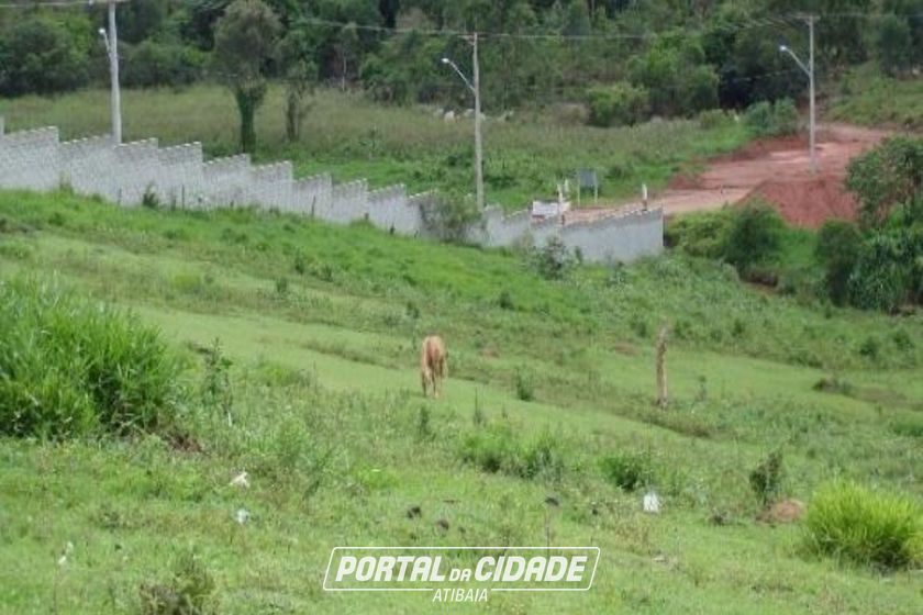 Terreno &agrave; venda - 17400m&sup2; - Tanque