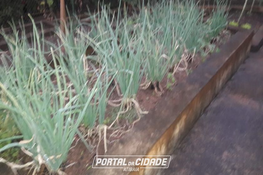 Terreno &agrave; venda - 2650m&sup2; - LARANJAL
