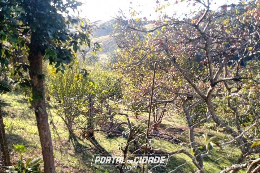 S&iacute;tio &agrave; venda - CACHOEIRA