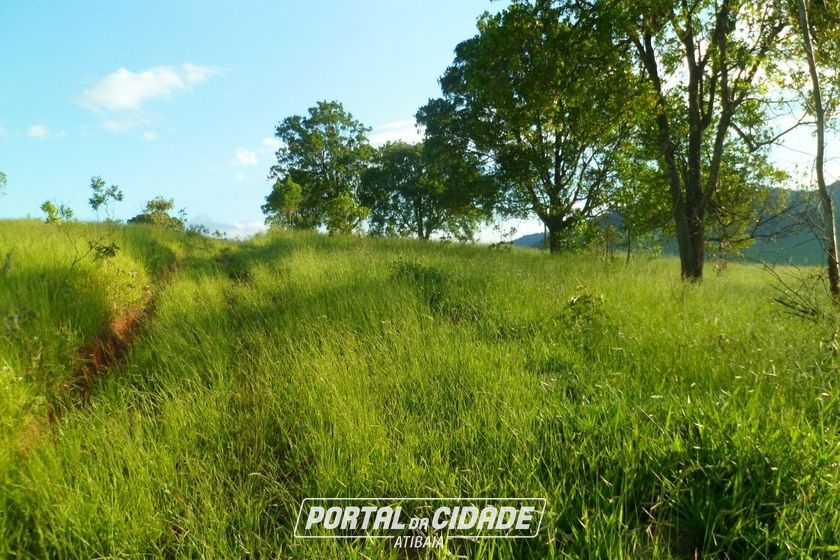 Terreno &agrave; venda - 1000m&sup2; - Ch&aacute;caras Fern&atilde;o Dias