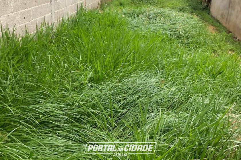 Terreno &agrave; venda - 145m&sup2; - Alvin&oacute;polis
