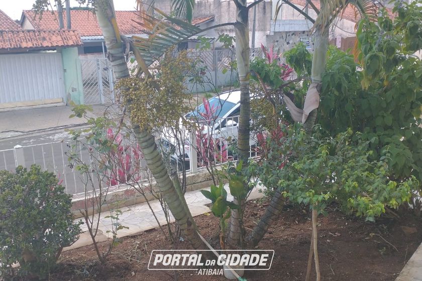 Casa &agrave; venda - JARDIM ALVIN&Oacute;POLIS