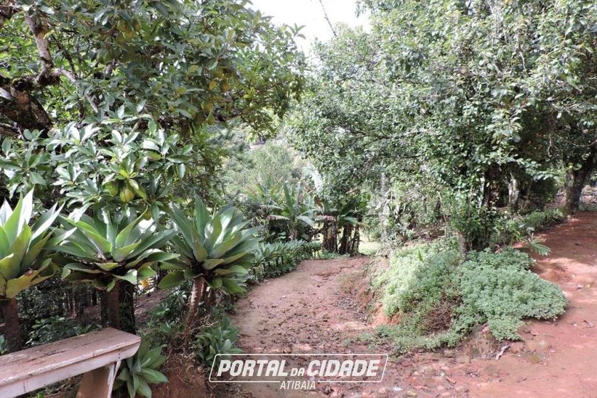 S&iacute;tio &agrave; venda - 200m&sup2; - CAMPO LARGO