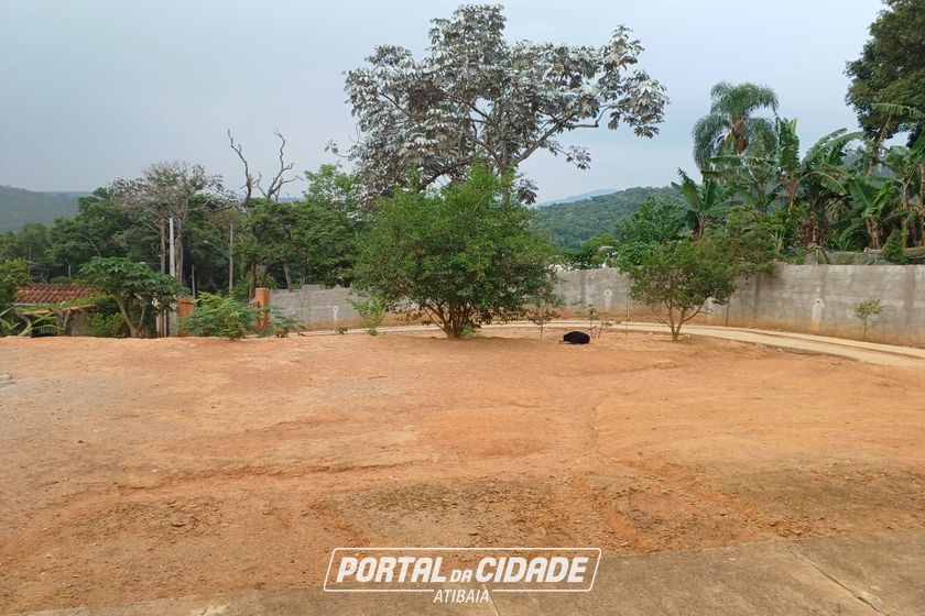 Ch&aacute;cara &agrave; venda - Cachoeira