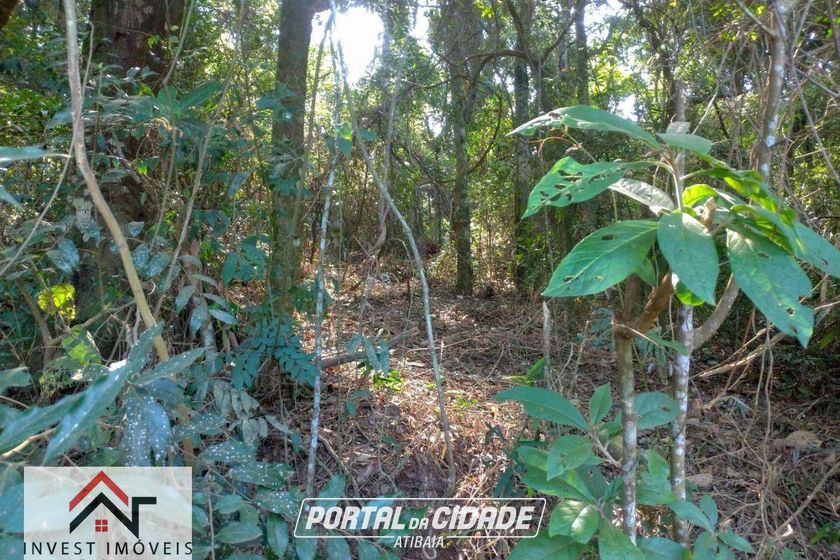 Terreno &agrave; venda - 16382m&sup2; - Est&acirc;ncia Santa Maria do Port&atilde;o