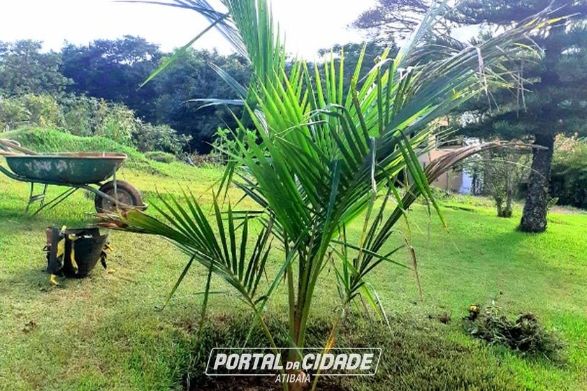 Terreno &agrave; venda - 2650m&sup2; - LARANJAL