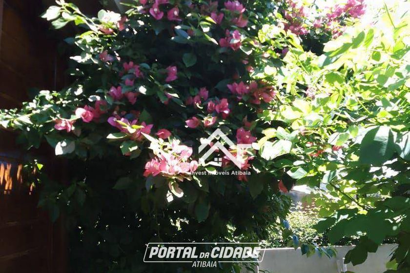 Ch&aacute;cara &agrave; venda - 455m&sup2; - Ponte Alta