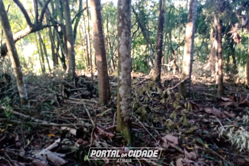 S&iacute;tio &agrave; venda - CACHOEIRA