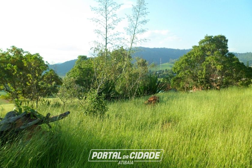 Terreno &agrave; venda - 1000m&sup2; - Ch&aacute;caras Fern&atilde;o Dias