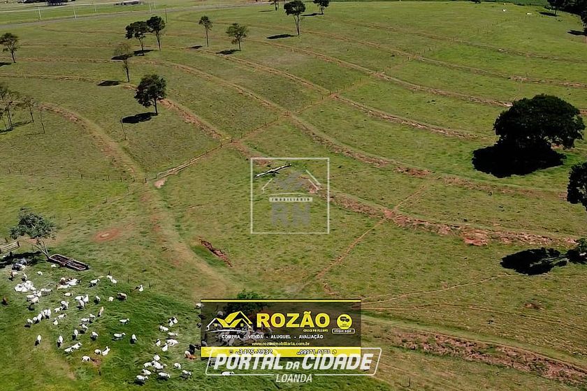 Ch&aacute;cara &agrave; venda - Fazenda