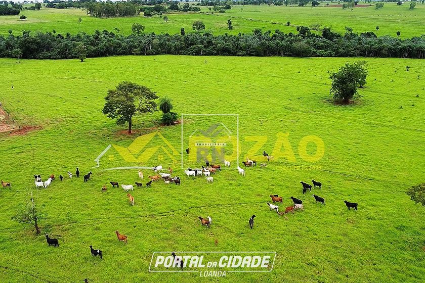 S&iacute;tio &agrave; venda - S&atilde;o Pedro do Paran&aacute;