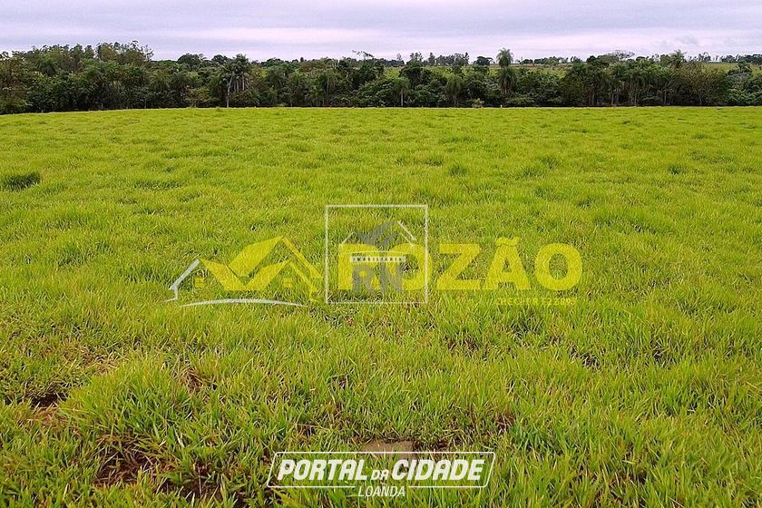 S&iacute;tio &agrave; venda - S&atilde;o Pedro do Paran&aacute;