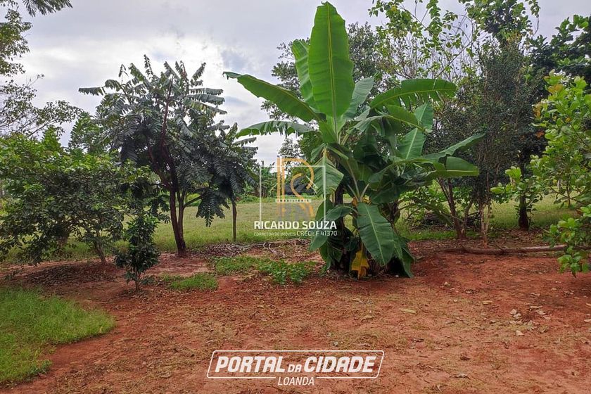 Ch&aacute;cara &agrave; venda - S&atilde;o Jos&eacute; do Iva&iacute;