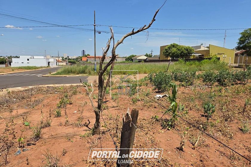 Terreno &agrave; venda - Alto da Gloria