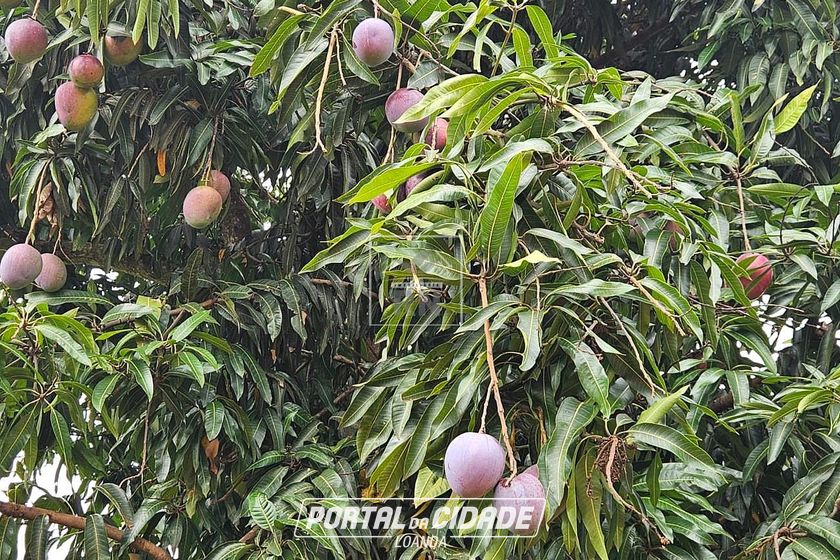 Ch&aacute;cara &agrave; venda - Ch&aacute;cara