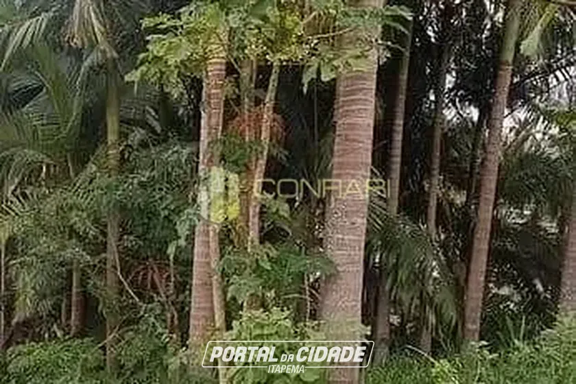 Terreno &agrave; venda - 276m&sup2; - Alto S&atilde;o Bento