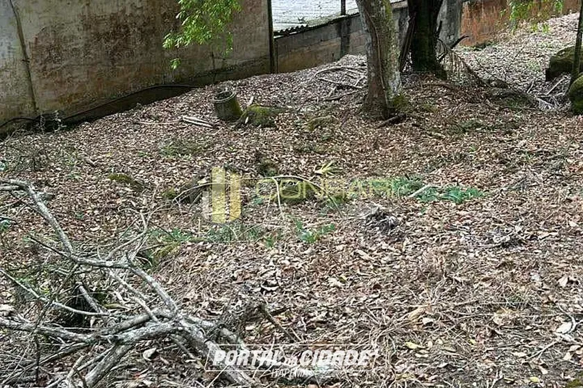 Terreno &agrave; venda - 9415m&sup2; - Sert&atilde;o