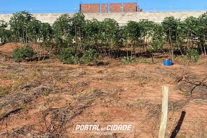 Terreno &agrave; venda - 450m&sup2; - Joao bergamini