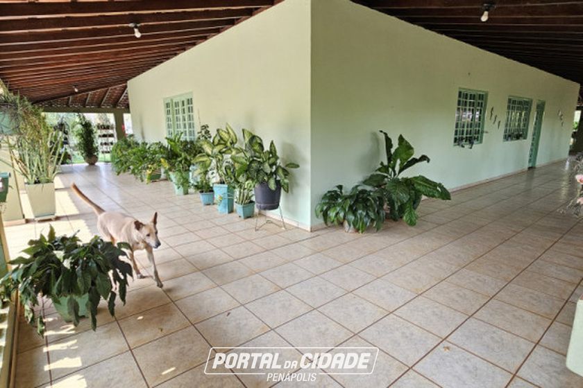 Ch&aacute;cara &agrave; venda - 5000m&sup2; - Lajeado