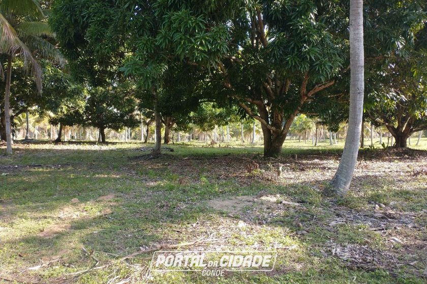 Fazenda &agrave; venda - 827640m&sup2; - Rodovia