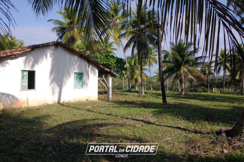 Fazenda &agrave; venda - 827640m&sup2; - Rodovia