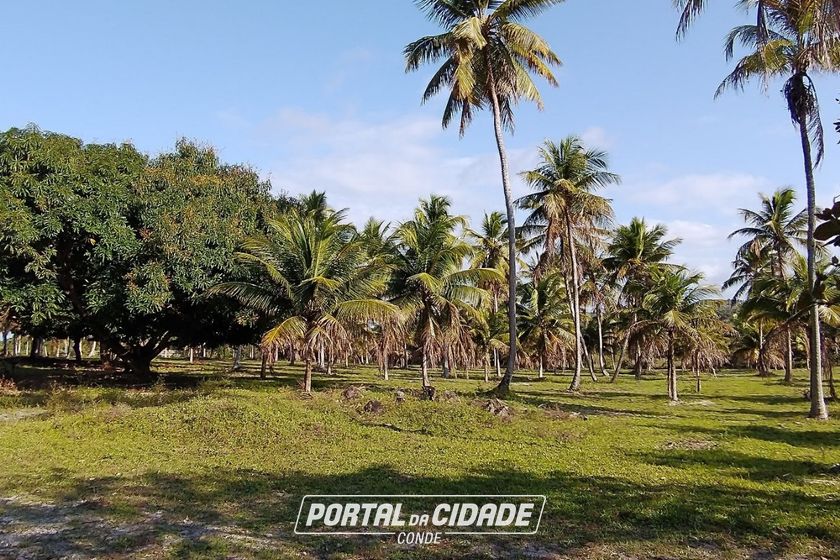 Fazenda &agrave; venda - 827640m&sup2; - Rodovia
