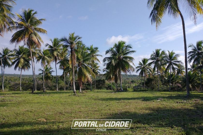 Fazenda &agrave; venda - 827640m&sup2; - Rodovia