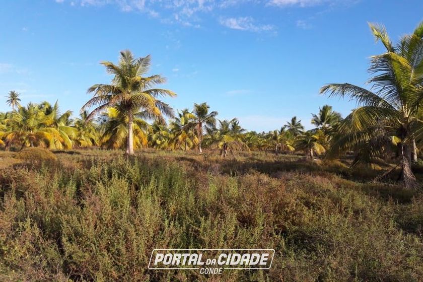 Fazenda &agrave; venda - 130000m&sup2; - Sitio do Conde