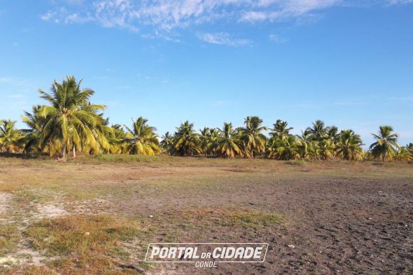 Fazenda &agrave; venda - 130000m&sup2; - Sitio do Conde