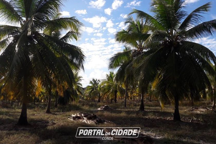Fazenda &agrave; venda - 130000m&sup2; - Sitio do Conde