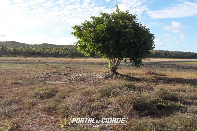 Fazenda &agrave; venda - 130000m&sup2; - Sitio do Conde