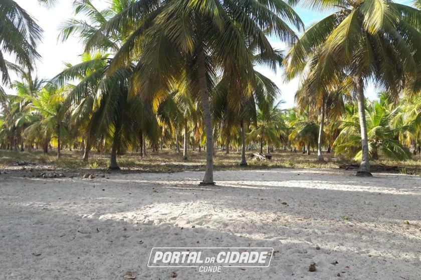 Fazenda &agrave; venda - 130000m&sup2; - Sitio do Conde
