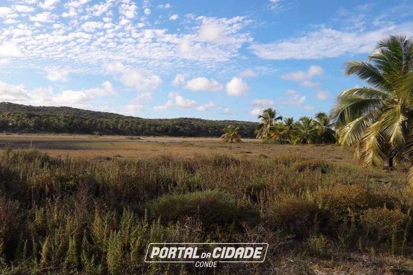 Fazenda &agrave; venda - 130000m&sup2; - Sitio do Conde