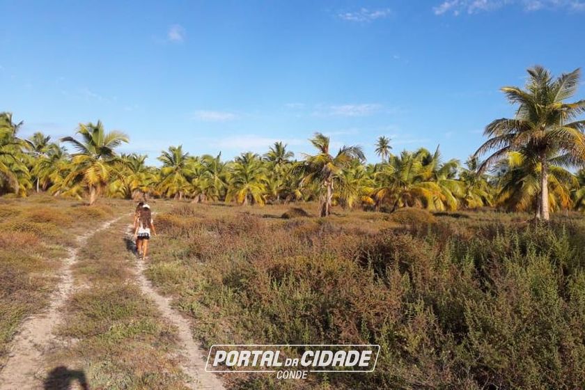Fazenda &agrave; venda - 130000m&sup2; - Sitio do Conde
