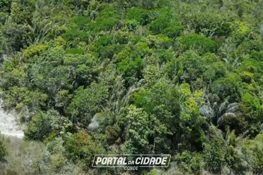 Fazenda &agrave; venda - 1513000m&sup2; - Mangabeira